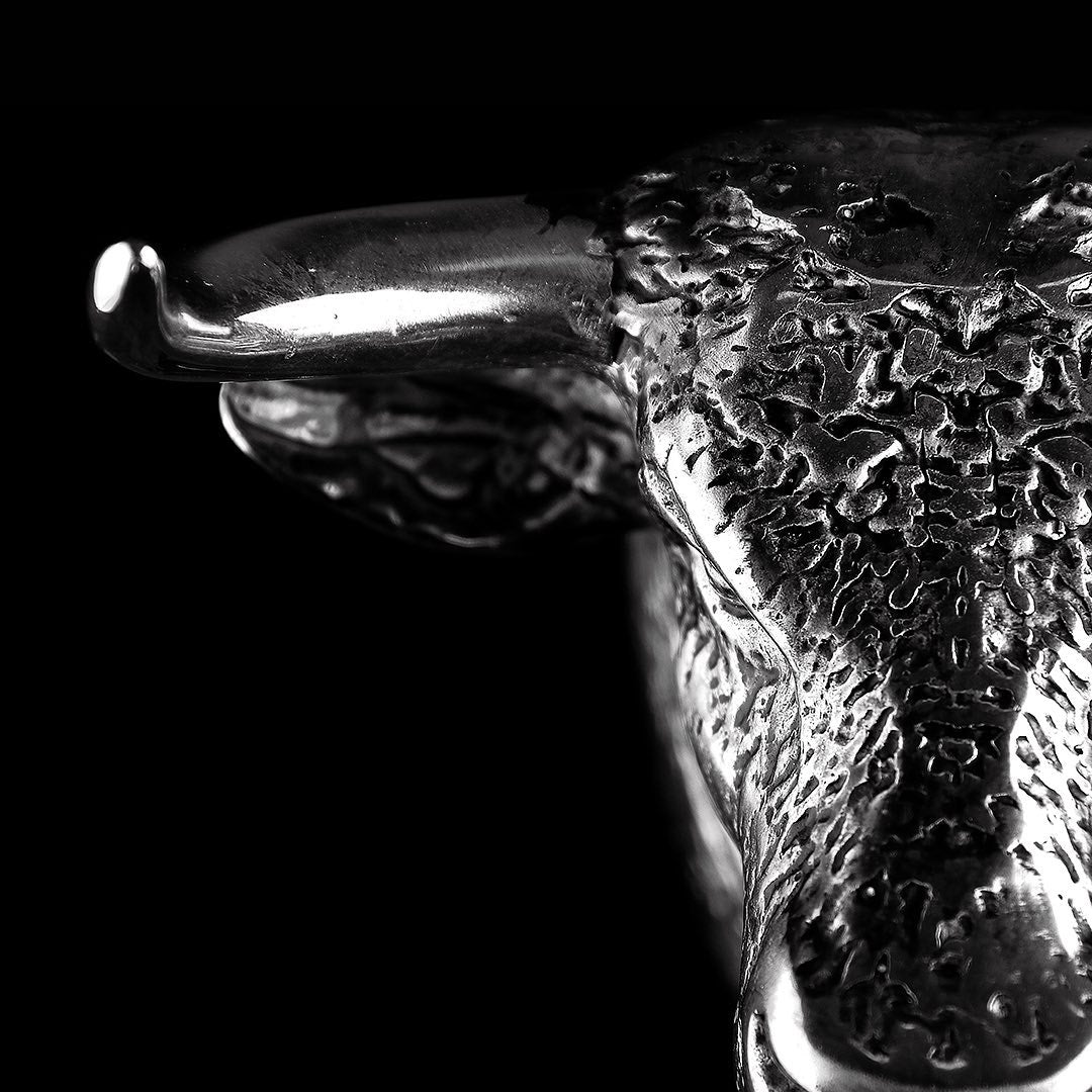 Silver-tone bull head and horn in close-up on a black background