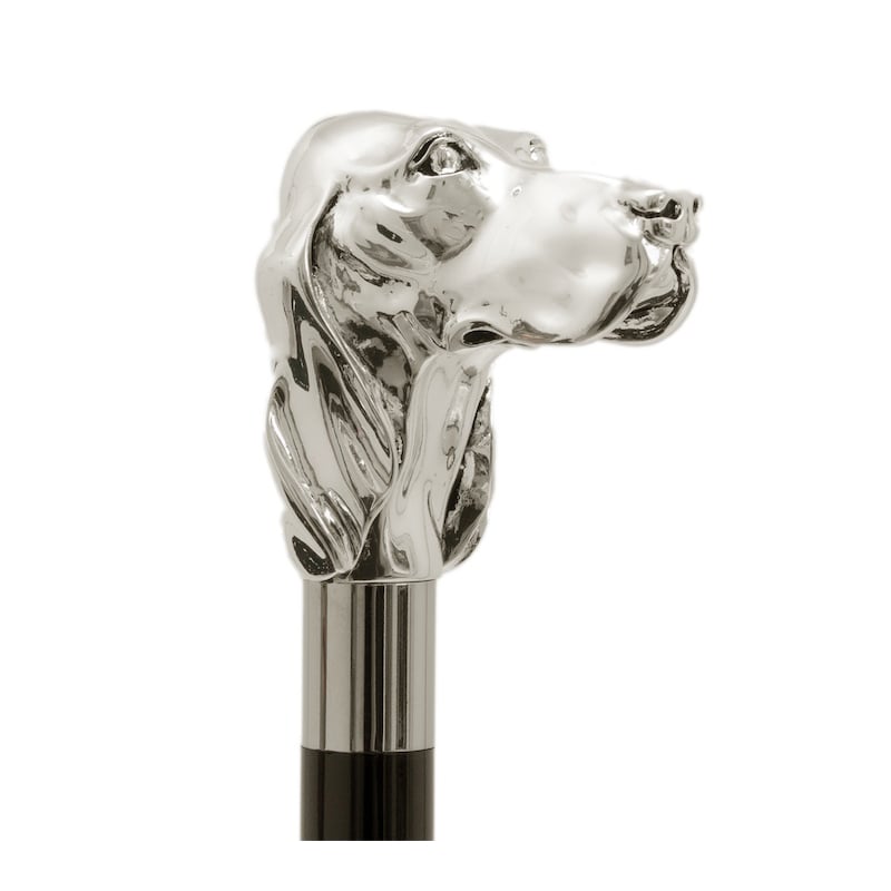 Shoe spoon Silver Dog Pasotti CS W40