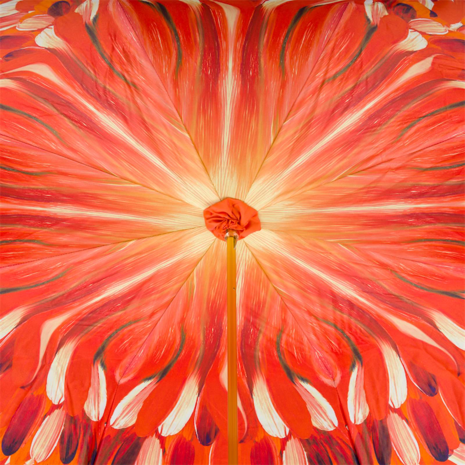 Photo of the lower canopy of Pasotti cane umbrella with Toucan handle