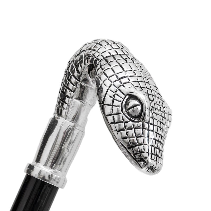 Umbrella cane men's gray with Snake handle Pasotti 478 6768-7 W31
