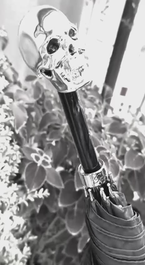 Video review of Pasotti men's blue cane umbrella with Silver Skull handle
