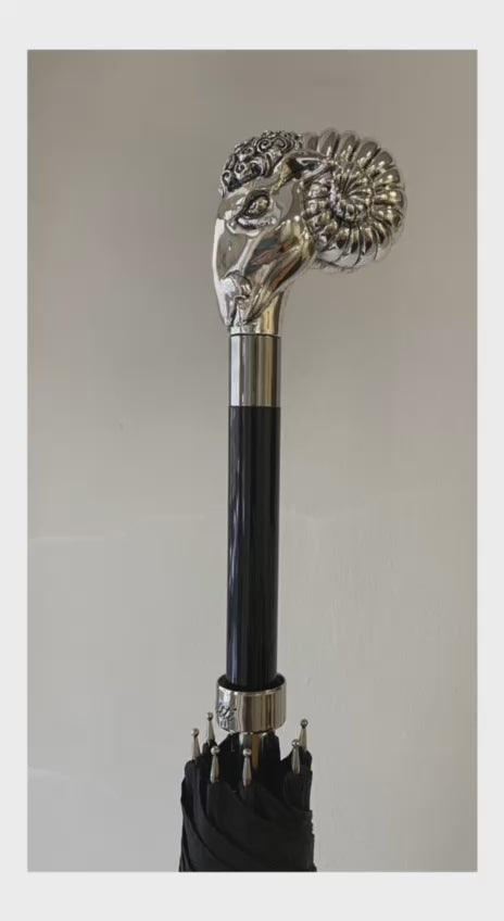 Video - Pasotti umbrella with silver sheep handle