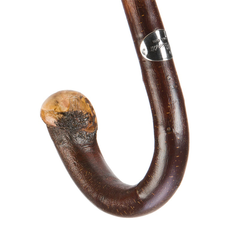 Chestnut crook handle with natural knot end and silver-tone Pasotti plaque, close-up, handcrafted in Italy