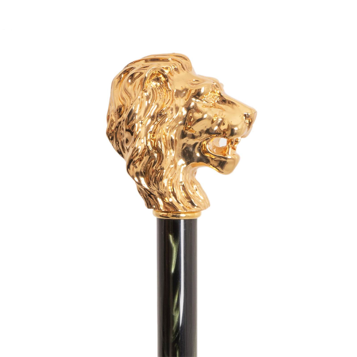 Gold-tone lion head handle in profile