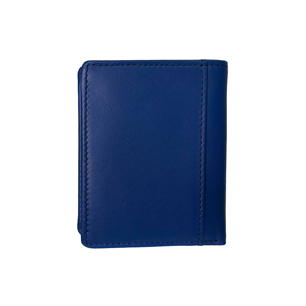 Tony Perotti New Rainbow 1034 bluette — the plain back face of the blue leather card holder