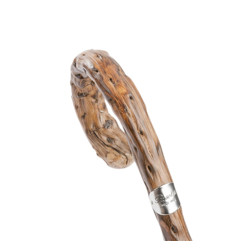 Gorse wood crook handle with silver-tone Pasotti plaque