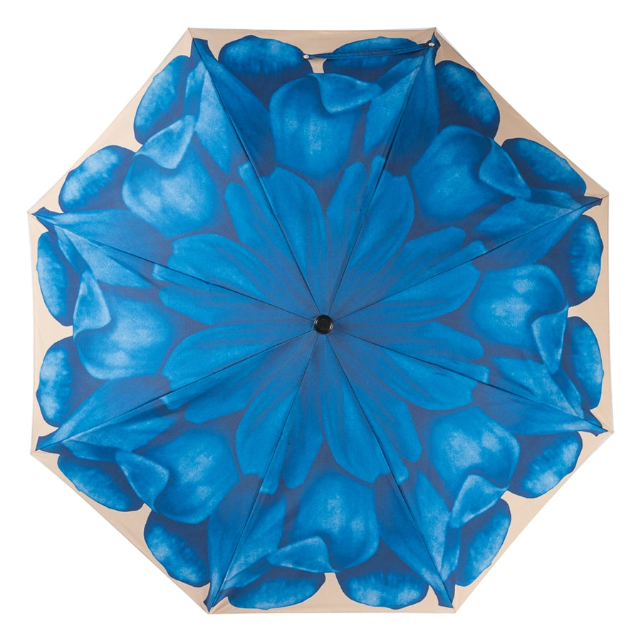 Open Pasotti blue dahlia folding umbrella with large flower print