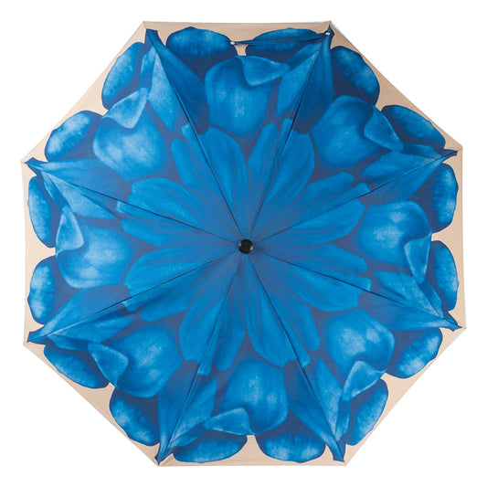Open Pasotti blue dahlia folding umbrella with large flower print