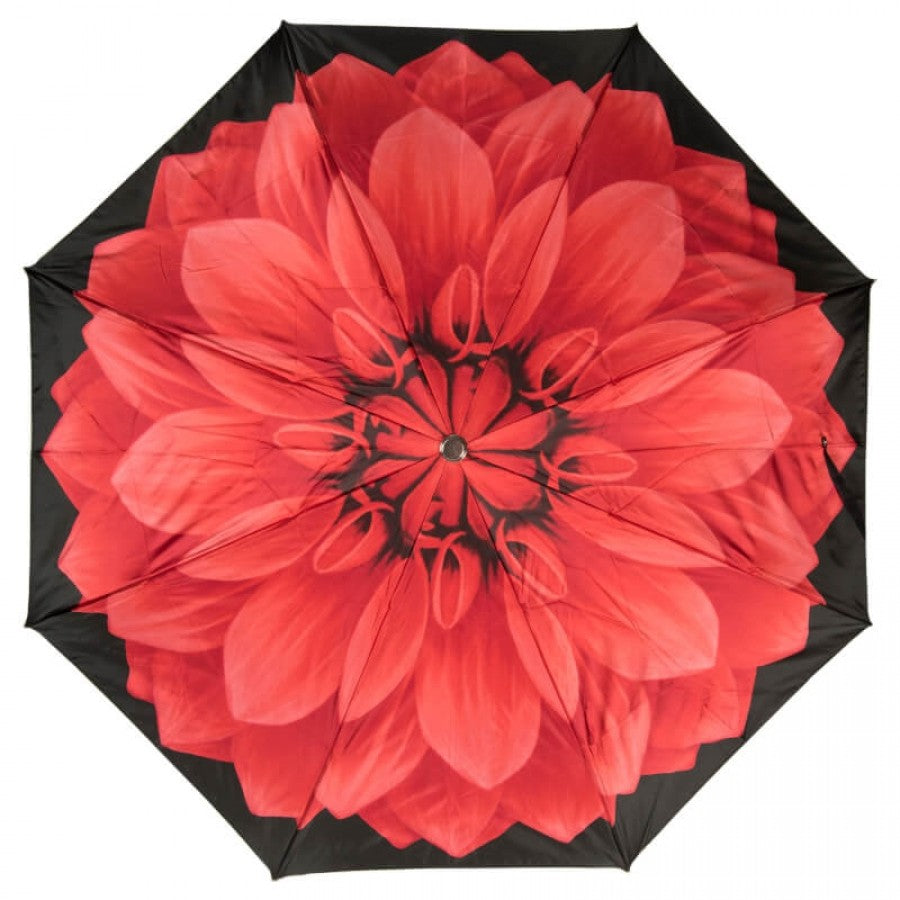 Open Pasotti red dahlia folding umbrella with large flower print