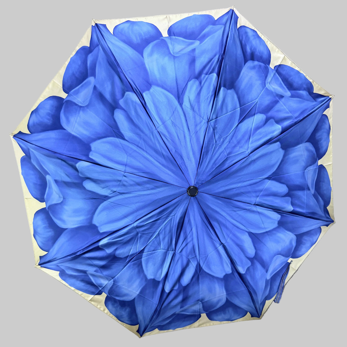 Pasotti blue floral-patterned umbrella on a neutral background