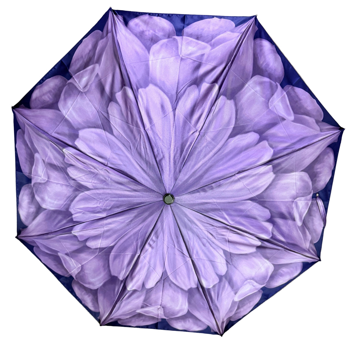 Pasotti purple floral-patterned umbrella