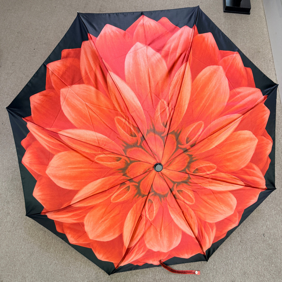 Pasotti umbrella with a large red flower design on a black background