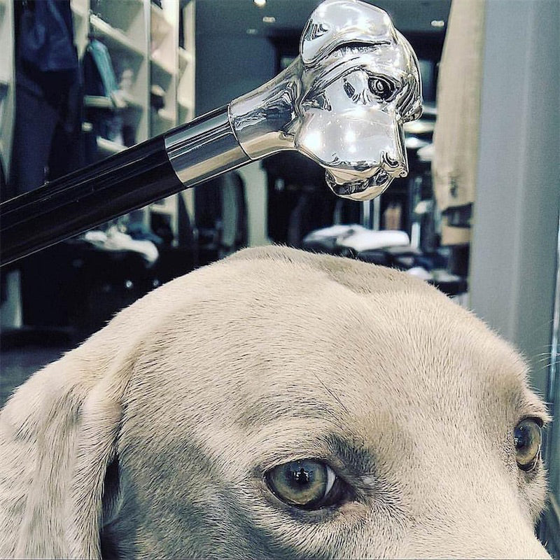 Pasotti Silver Labrador shoehorn in use — elegant accessory for dog lovers