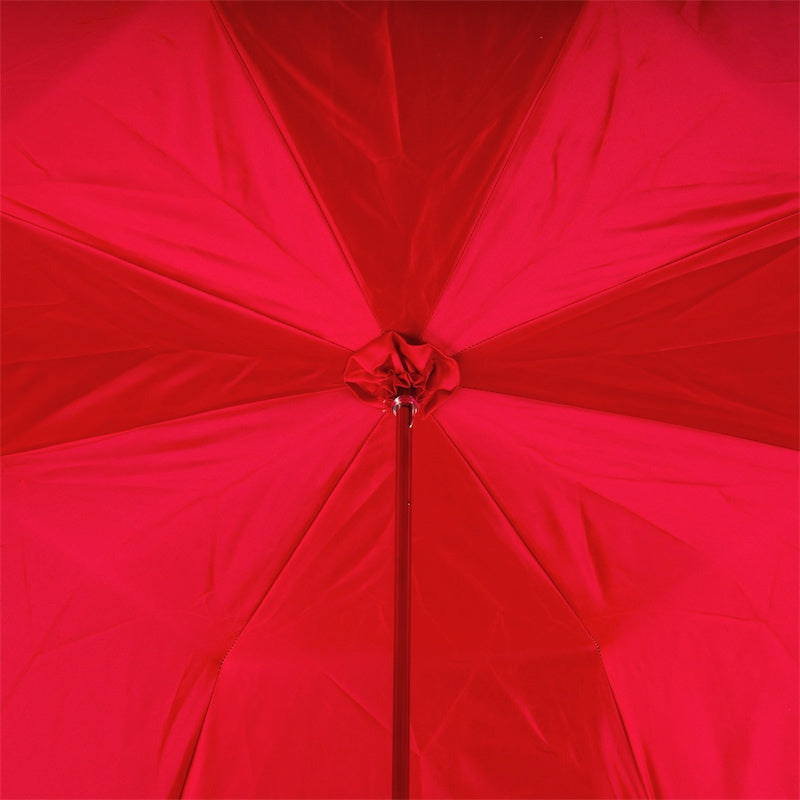 Pasotti 185N PLAT-26 PLAT-34 S8 umbrella detail with red crystals