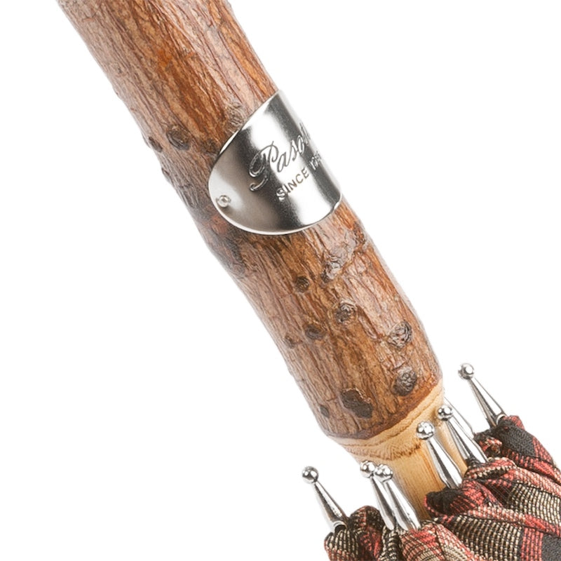 Close-up of the silver-tone Pasotti plaque on the knotted ash handle