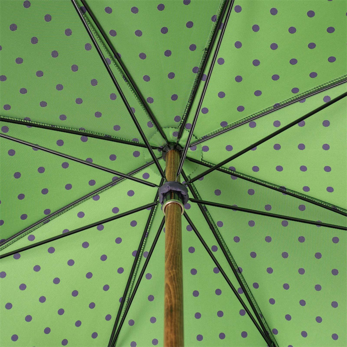 Underside of the canopy: green with purple dots and eight ribs