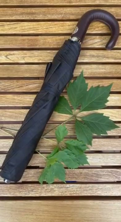 Video: close-ups of the brown leather crook, Pasotti plate and furled canopy